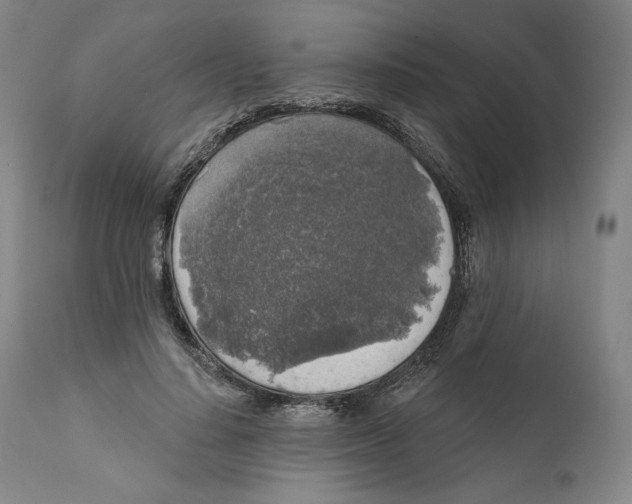 X0000111640644200908071343