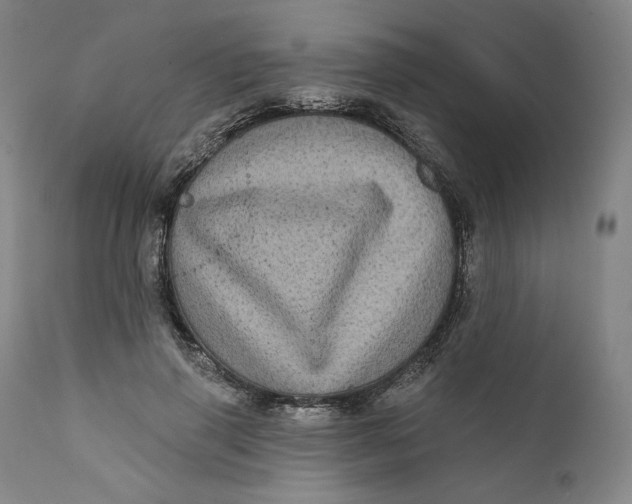 X0000111640645200908071343