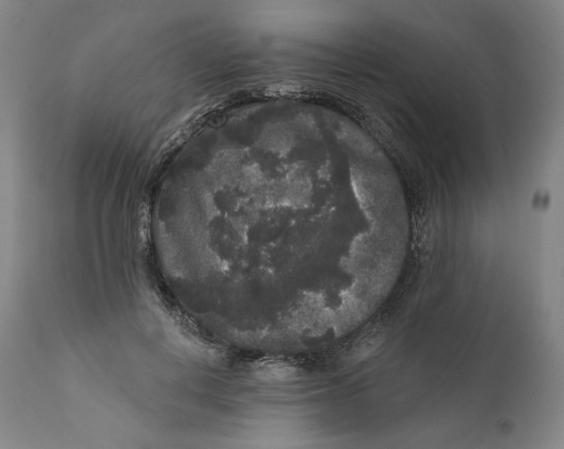 X0000111640648200908071343