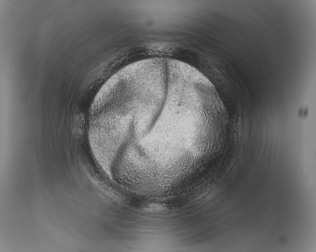 X0000111640649200908071343