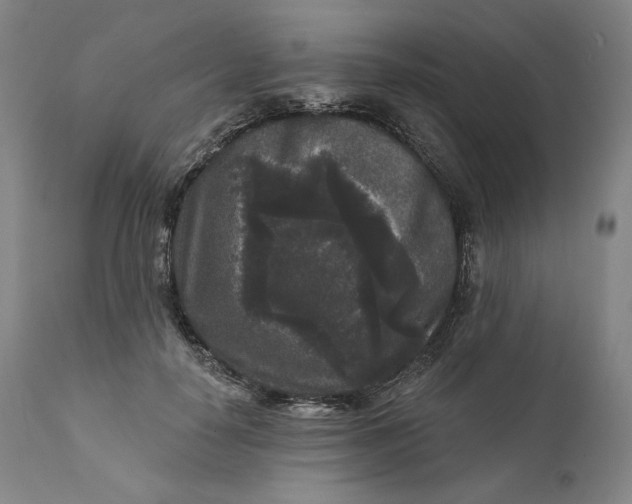 X0000111640650200908071343