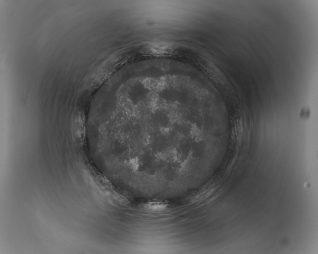 X0000111640651200908071343