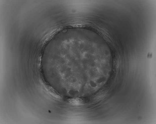 X0000111640652200908071343