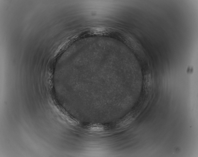 X0000111640653200908071343