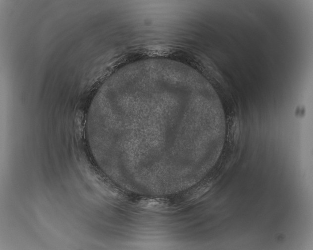 X0000111640655200908071343