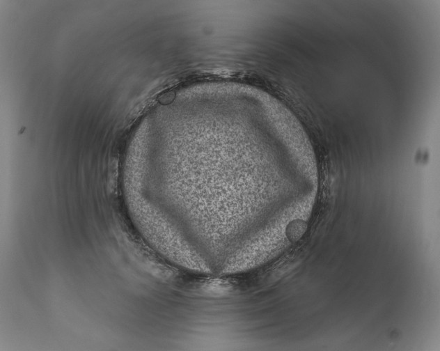 X0000111640656200908071343