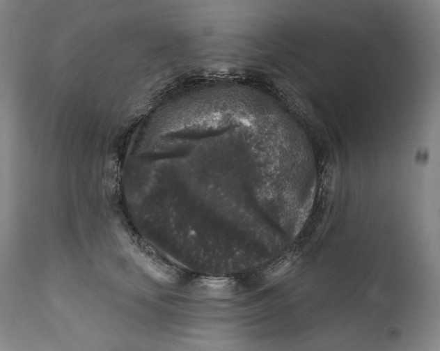 X0000111640659200908071343