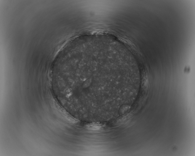 X0000111640661200908071343