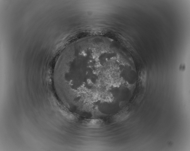 X0000111640663200908071343