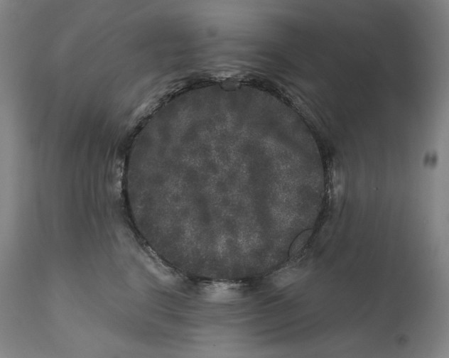 X0000111640664200908071343