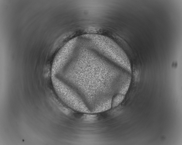 X0000111640665200908071343