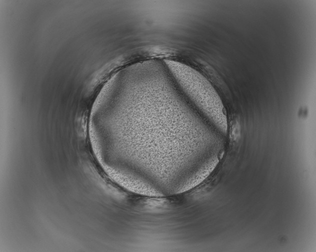 X0000111640666200908071343