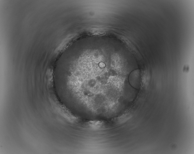 X0000111640667200908071343