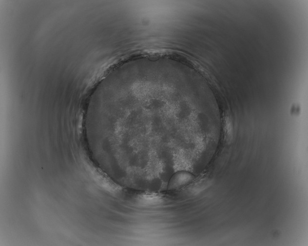 X0000111640668200908071343