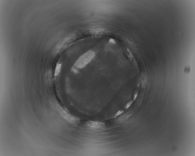 X0000111640670200908071343