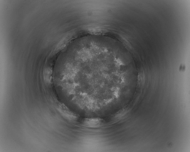 X0000111640671200908071343