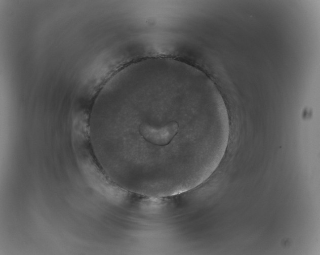 X0000111640672200908071343