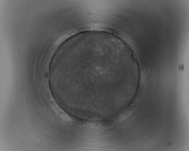 X0000111640673200908071342