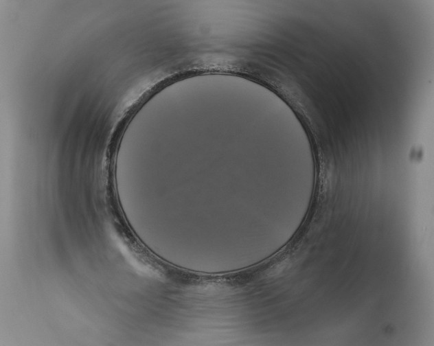 X0000111640674200908071342