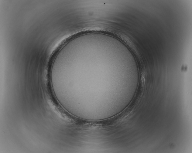 X0000111640676200908071342