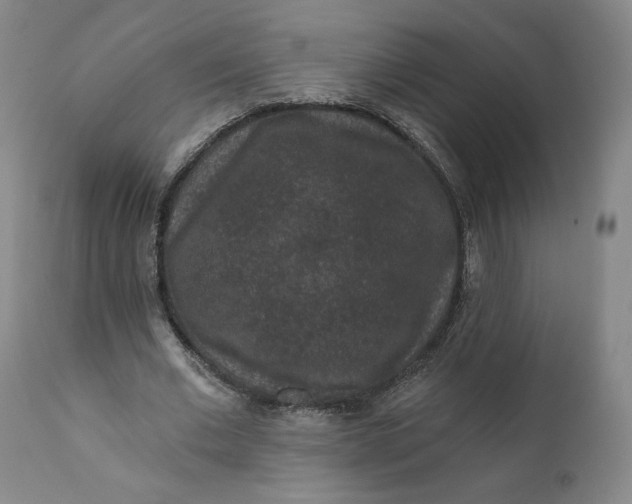 X0000111640677200908071342