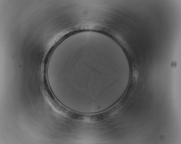 X0000111640678200908071342