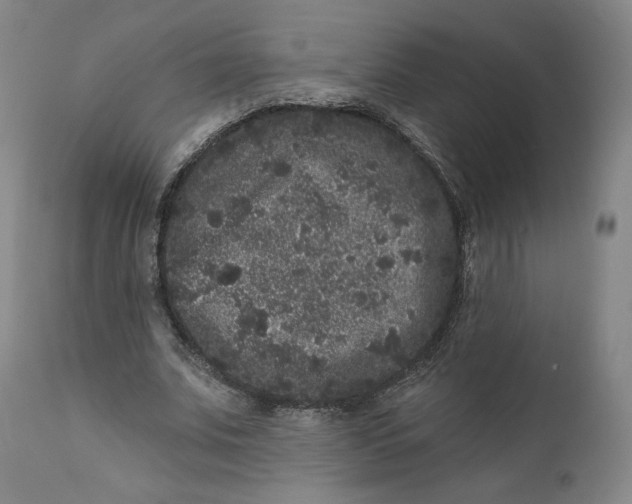 X0000111640679200908071342