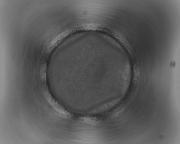 X0000111640681200908071342