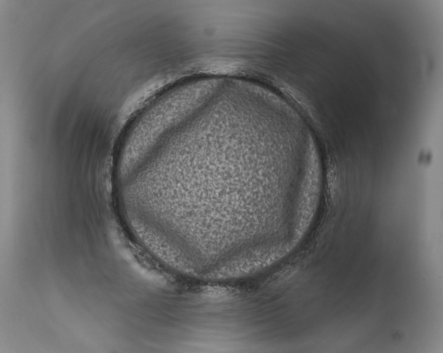 X0000111640682200908071342