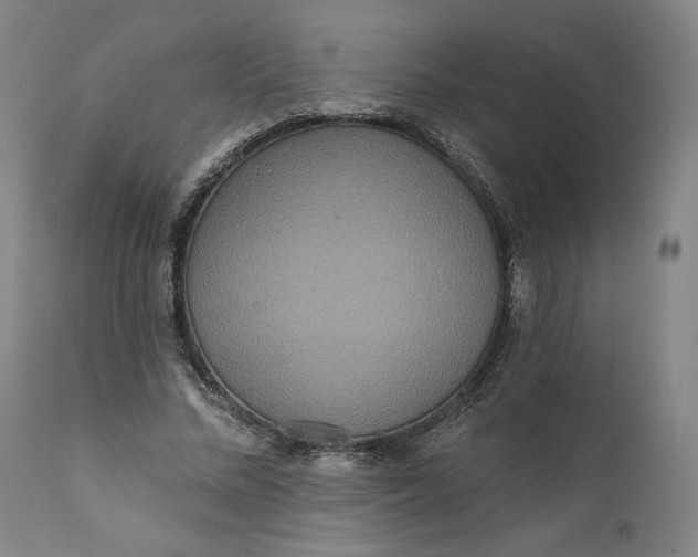 X0000111640684200908071342