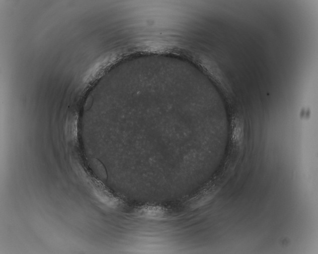 X0000111640685200908071342