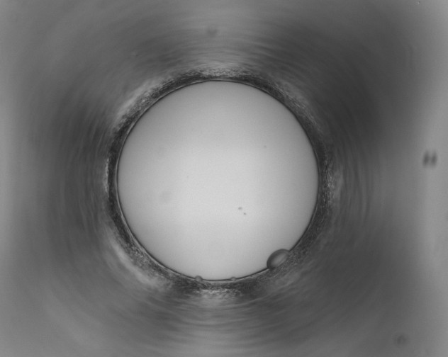 X0000111640686200908071342