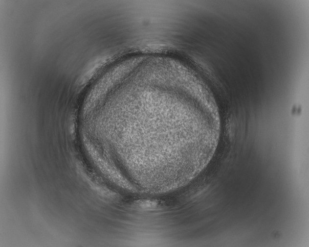 X0000111640687200908071342