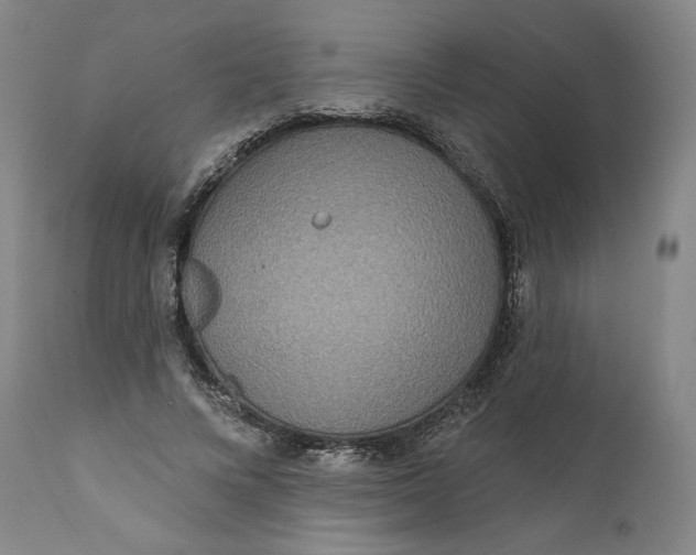 X0000111640688200908071342