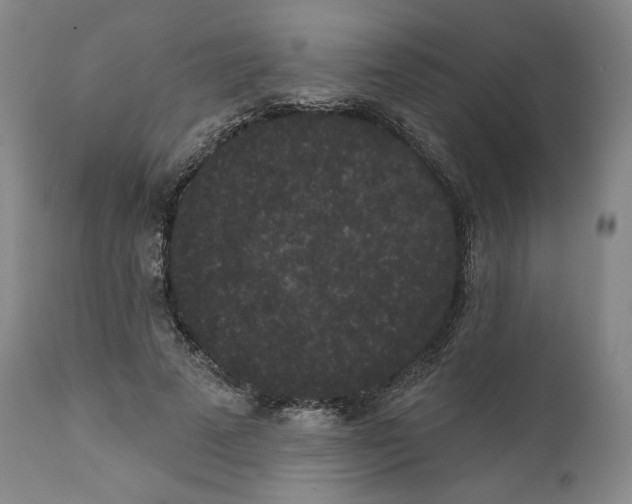 X0000111640689200908071342