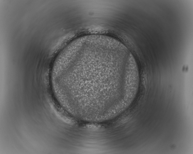 X0000111640690200908071342