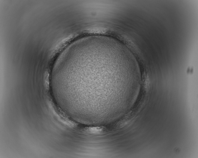 X0000111640692200908071342