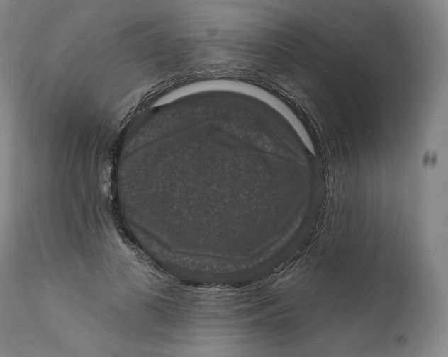 X0000111640693200908071342