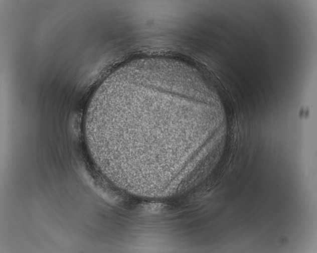 X0000111640695200908071342