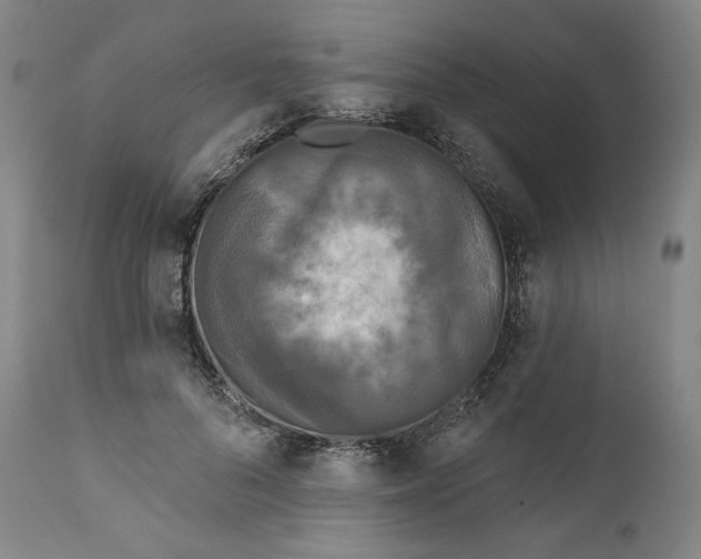 X0000111640696200908071342