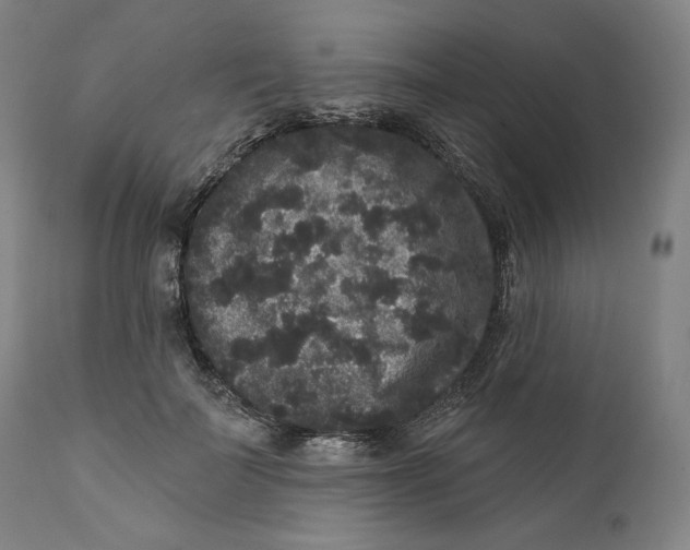 X0000111640699200908071342