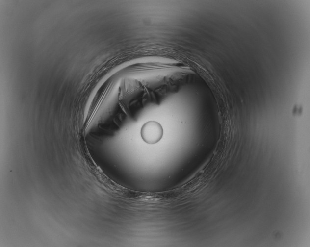 X0000111640701200908071342