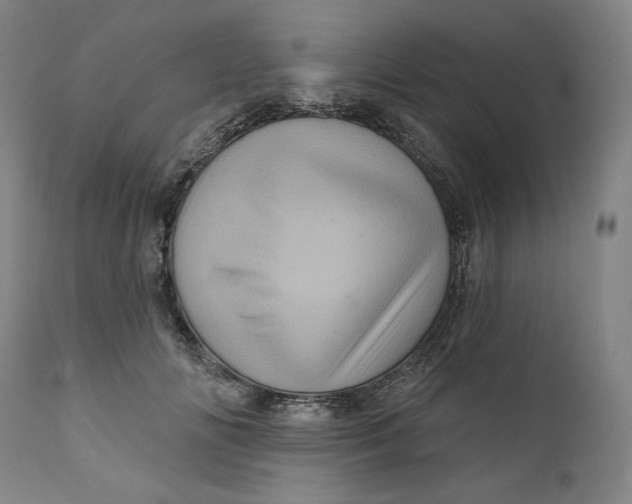 X0000111640702200908071342