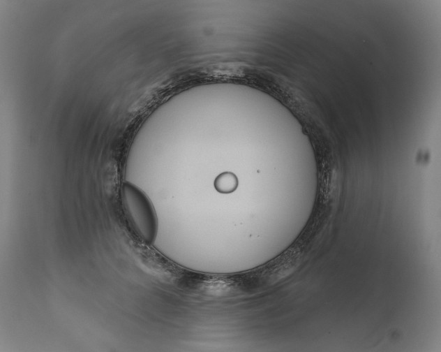 X0000111640704200908071342