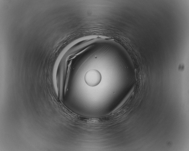 X0000111640705200908071342