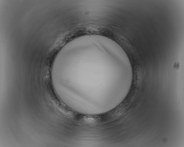 X0000111640706200908071342