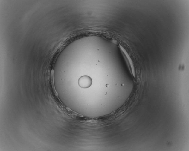 X0000111640708200908071342