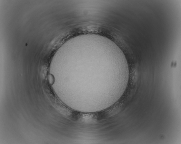 X0000111640709200908071342