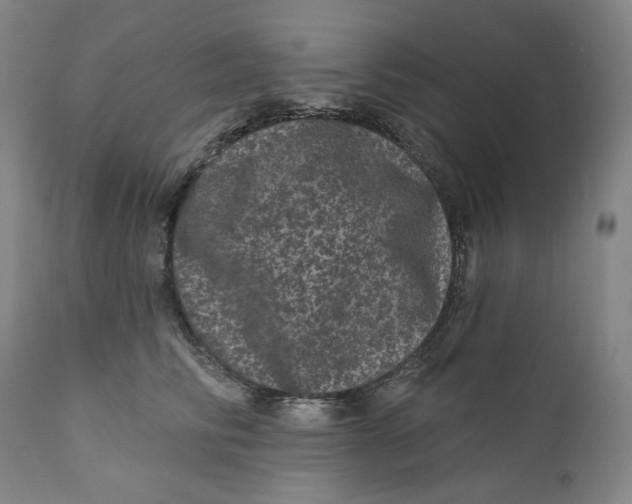 X0000111640710200908071342