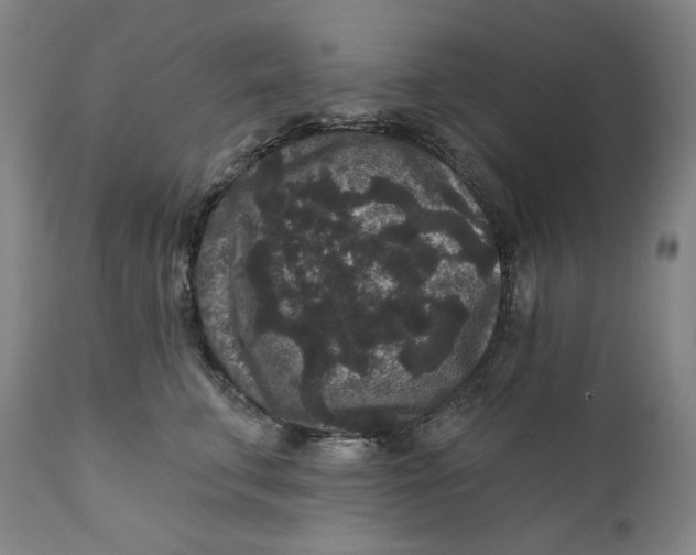 X0000111640711200908071342